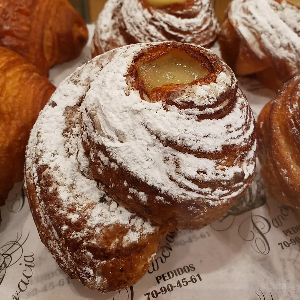 Pancracia thumbnail 4