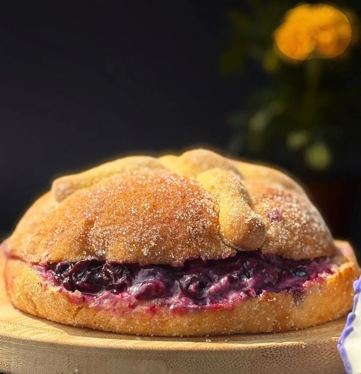 Pancracia thumbnail 3